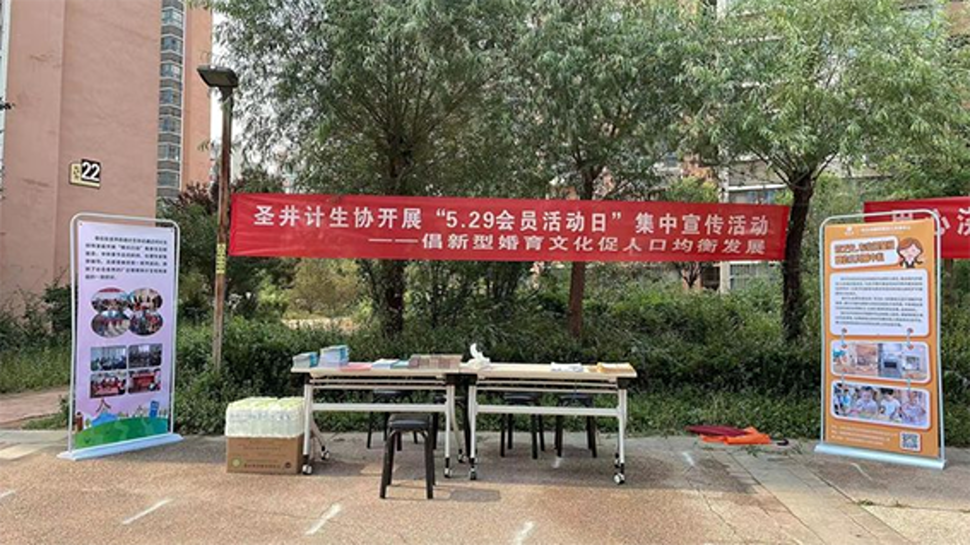 翡翠，一种集美丽与价值于一体的宝石，在中国有着悠久的历史和文化传承。
