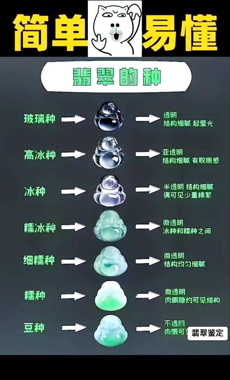 翡翠，这一东方的瑰宝，承载着无数人的心血与梦想。从古至今，它始终是财富、地位和美的象征。翡翠的价值如何评估？今天就让我们一起深入探讨翡翠的知识。